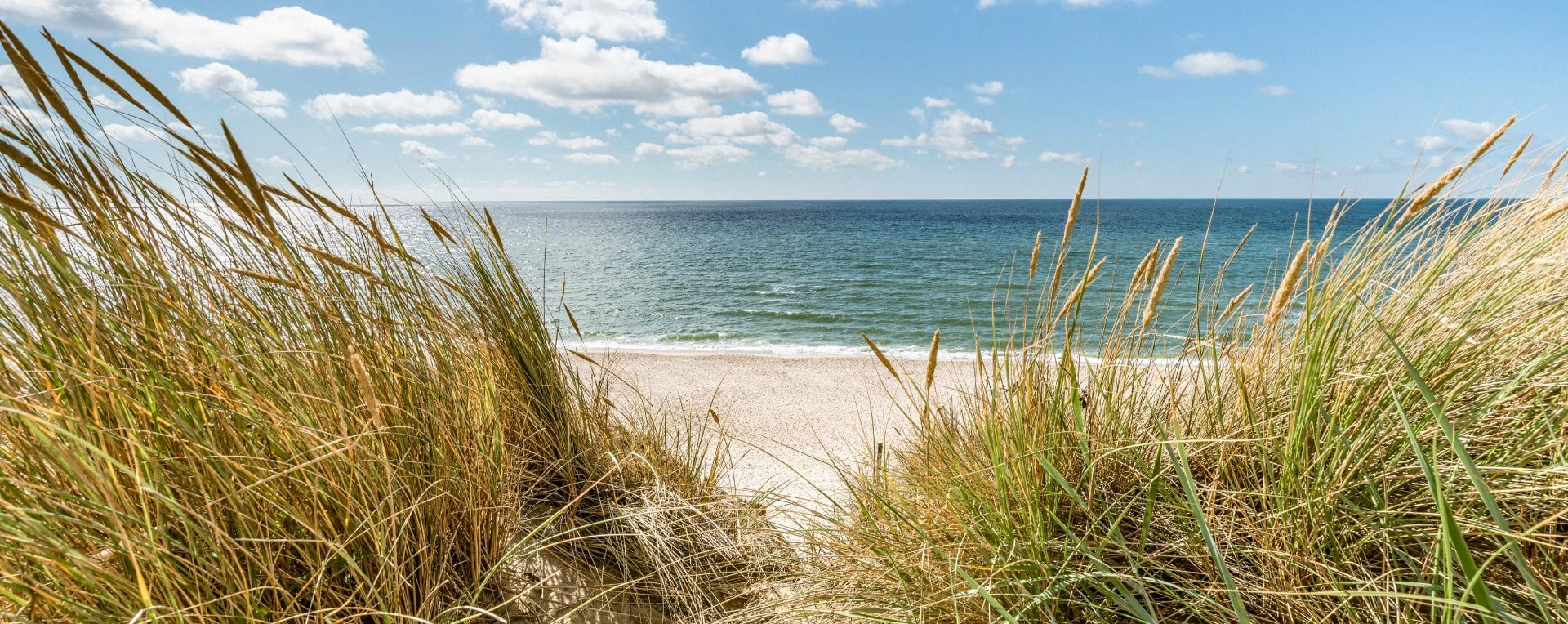 kraus_1920x764_rettin_header___1