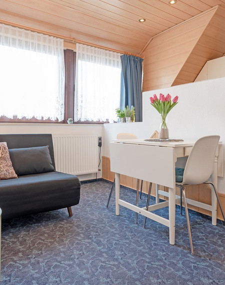 haus-schwanensee-seeblick-bischofsee-bosau-173934-11713071