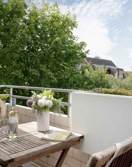 berolina-ostseemuschel-dahme-111605-12739894