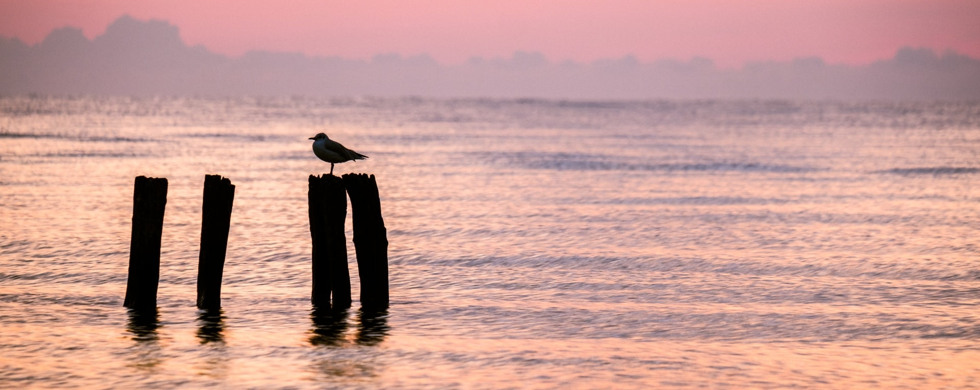 kraus_1920x764_lenste_header___1