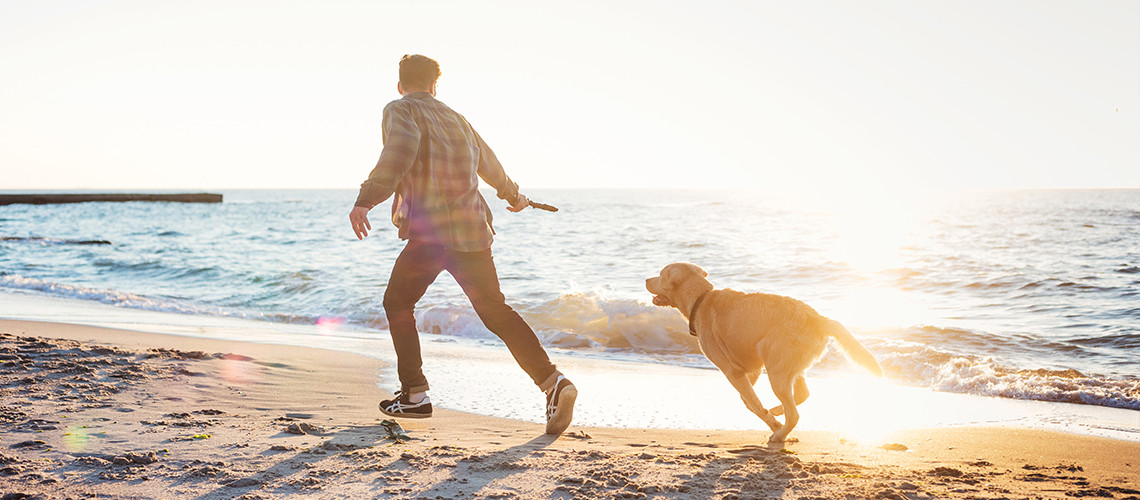 Ferienwohnung Süssau + Ferienhaus Süssau