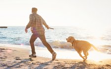 Ferienwohnung Süssau + Ferienhaus Süssau