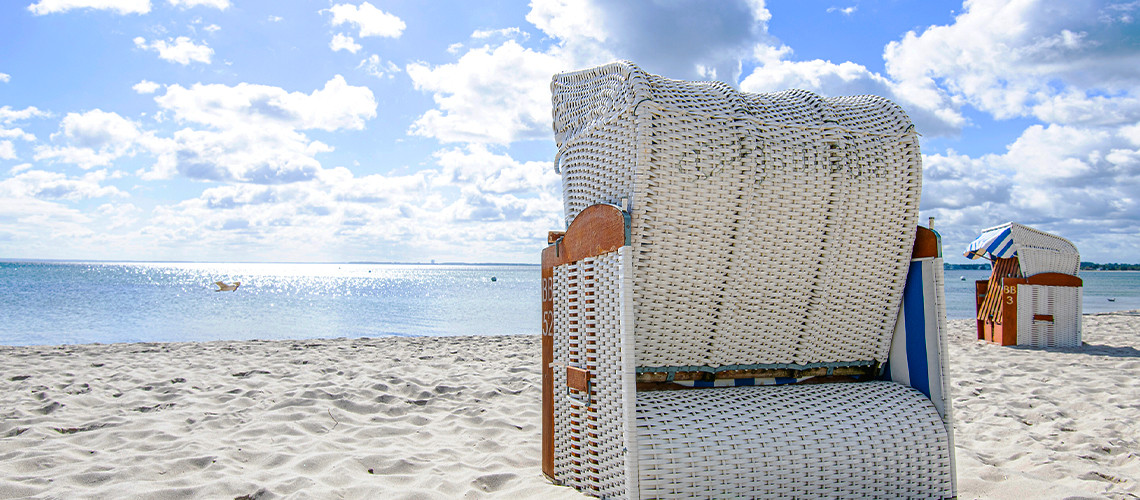 newsletter_header_neu