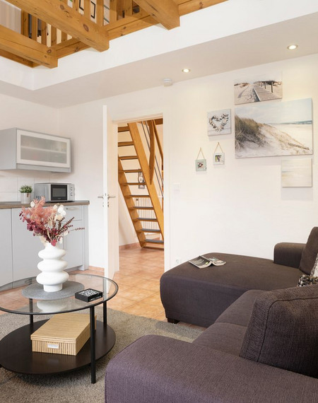 lenster-moewennest-lenste-112533-11251344