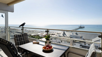 groemitz-center-silbermoewe-groemitz-111912-17001379