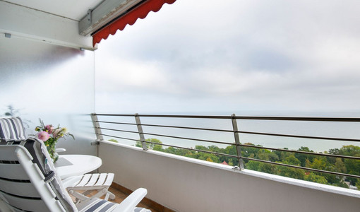 Seestern Timmendorfer Strand